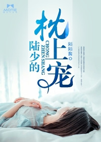 陆少的替嫁新娘完整版