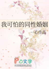 我可怕的同性婚姻也有出轨